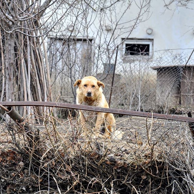 20969222_1342019745896766_4058414778102579200_n